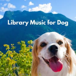 Library Music for Dog - Jazz Radio