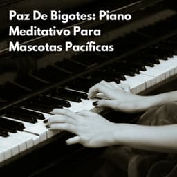Paz De Bigotes: Piano Meditativo Para Mascotas Pacíficas - Radio relajante con piano