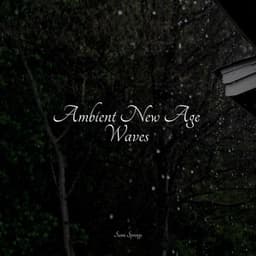 Ambient New Age Waves - Musica para Massagem Especialistas