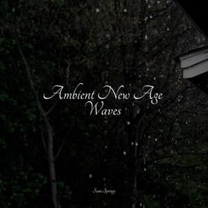 Ambient New Age Waves - Musica para Massagem Especialistas