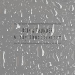 Windy Thunderstorm - Rain & Thunder