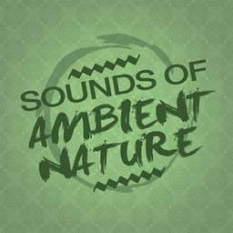 Sounds of Ambient Nature - Ambient Nature Sounds