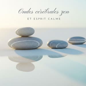 Ondes cérébrales zen et esprit calme - Ensemble de Musique Zen Relaxante