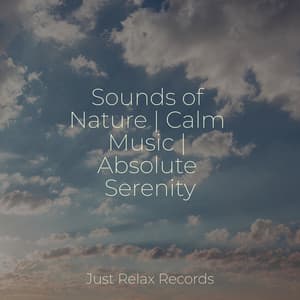Sounds of Nature | Calm Music | Absolute Serenity - Meditación