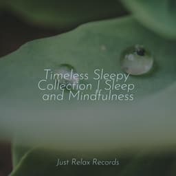 Timeless Sleepy Collection | Sleep and Mindfulness - Música relaxante