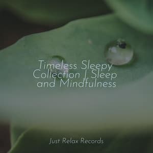 Timeless Sleepy Collection | Sleep and Mindfulness - Música relaxante