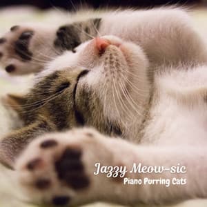 Jazzy Meow-sic: Piano Purring Cats - Slow Jazz