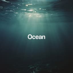 Ocean - Relajacion Del Mar