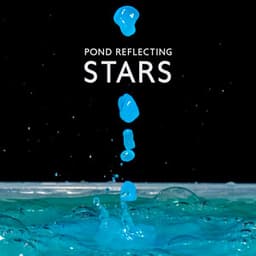Pond Reflecting Stars - Mindfulness Meditation Universe