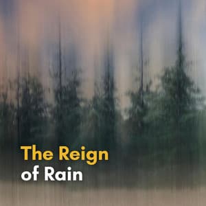 The Reign of Rain - 24H Rain Sounds