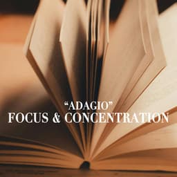 "Adagio" - Focus and Concentration - Johann Sebastian Bach