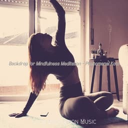 Backdrop for Mindfulness Meditation - Phenomenal Koto - Calm Meditation Music