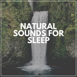 Natural Sounds for Sleep - Babbling Brook