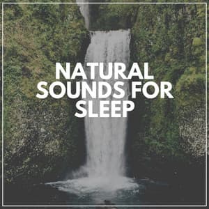 Natural Sounds for Sleep - Babbling Brook