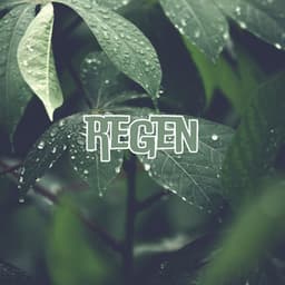 Naturalize - Regengeräusche