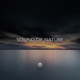 Sound Of Nature - Rain Sounds & Nature Sounds