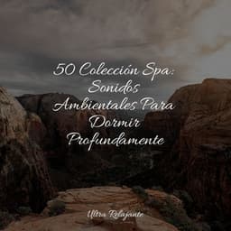 50 Colección Spa: Sonidos Ambientales Para Dormir Profundamente - Música Relajante para Bebés