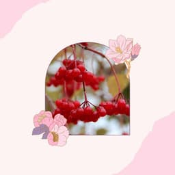 Easy Jazz Guitar - Background for Mental Recharging - Cheerful Instrumental Cafe Jazz