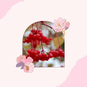 Easy Jazz Guitar - Background for Mental Recharging - Cheerful Instrumental Cafe Jazz