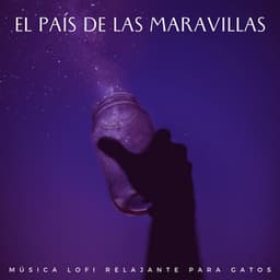 El País De Las Maravillas: Música Lofi Relajante Para Gatos - Relájate Hip Hop