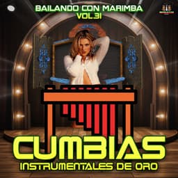 Bailando Con Marimba Vol. 31 - Cumbias Instrumentales De Oro