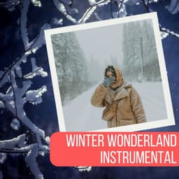 Winter Wonderland Instrumental - Christmas Songs Remix