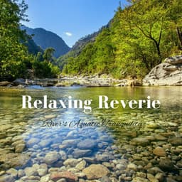 Relaxing Reverie: River's Aquatic Tranquility - Spiritual Relax