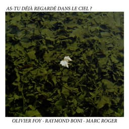 As-Tu déjà regardé dans le ciel ? - Olivier Foy