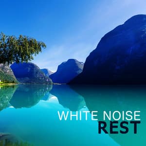 White Noises Rest - White Noises