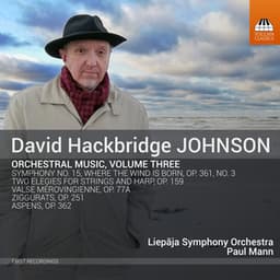 David Hackbridge Johnson: Orchestral Music, Vol. 3 - David Hackbridge Johnson