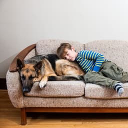 Piano Rain's Pet Naptime Oasis - Piano for Sleep