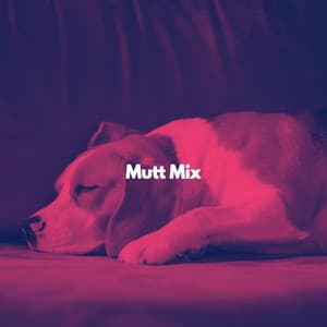Mutt Mix - Jazz Relajante Clasico