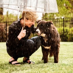 Rain for Pets: Harmonious Music - Shaman