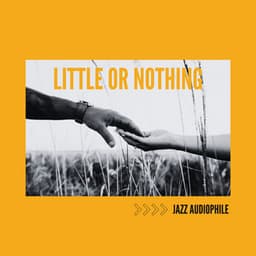 Little or Nothing - Jazz Audiophile