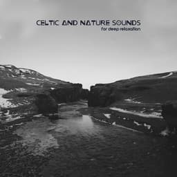 Celtic and Nature Sounds for Deep Relaxation – Music for Relieve Stress, Deep Silence of Mind - Relieving Stress Music Collection