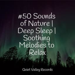 #50 Sounds of Nature | Deep Sleep | Soothing Melodies to Relax - Rain Man Sounds