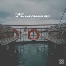 Natural Rain Sounds for Study - Rainforest Ambience
