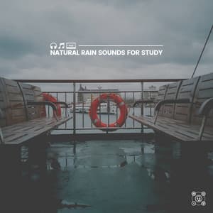 Natural Rain Sounds for Study - Rainforest Ambience