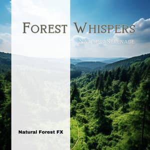 Forest Whispers: Nature's Serenade - Natural Forest FX
