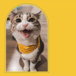 Backdrop for Soulful Kittens - Tremendous Jazz Quintet - Soothing Cat Music