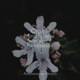 Otoño Mindfulness Sonidos | Relajación - Musica Relajante & Yoga
