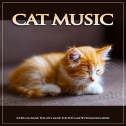 Cat Music: Soothing Music For Cats, Music For Pets and Pet Relaxation Music - Cat Music