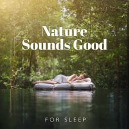 Nature Sounds Good for Sleep: Music to Reduce Stress and Anxiety, Soothing Relaxation, Cleansing Spa, Morning Yoga and Meditation - Natural Healing Music Zone