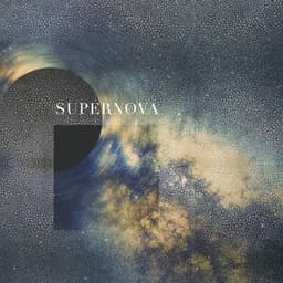 Supernova - Terry Devine-King