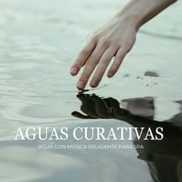 Aguas Curativas: Agua Con Música Relajante Para Spa - La naturaleza llama