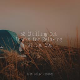 50 Chilling Out Tracks for Relaxing at the Spa - Music For Absolute Sleep