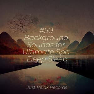 #50 Background Sounds for Ultimate Spa Deep Sleep - Dormir
