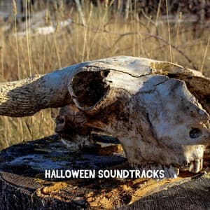 Halloween Soundtracks - Spooky Halloween Sounds