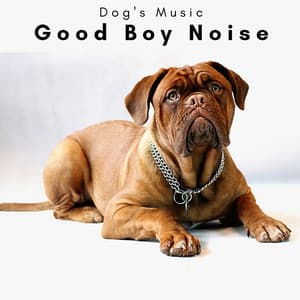4 Dogs: Good Boy Noise - Dog's Music