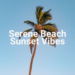 Serene Beach Sunset Vibes - Lounge Ibiza Cafè